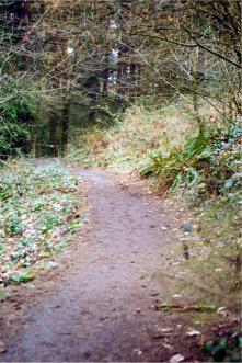 ...up the steep slope...