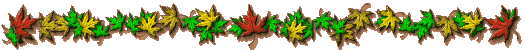 fall leaf separator