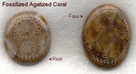 comparing real fossilized agatized coral with the faux